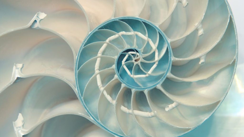 Εκπαίδευση στην Ψυχοθεραπεία